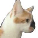 ApoModCheck emote for Discord