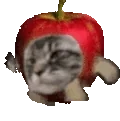 ApplecatBunki emote for Discord