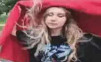 apolBlankies emote for Discord