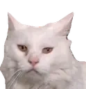 apolloLookUp emote for Discord