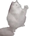 apolloPray emote for Discord
