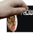 Apsl1krotik emote for Discord