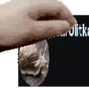 apsl1ulitka emote for Discord