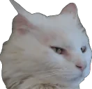 apolloErm emote for Discord