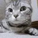 AREYOUAMOMMY emote for Discord