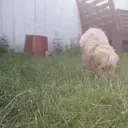 AREYOUFRENCH emote for Discord