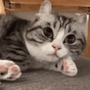 Artemu6 emote for Discord