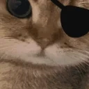 arr emote for Discord