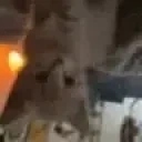 AREYOUAUSTRALIAN emote for Discord