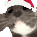 AREYOUAGIRL emote for Discord