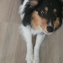 AREYOUACHICKENNUGGET emote for Discord