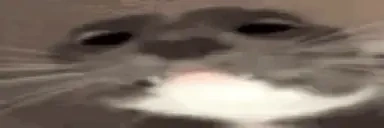 AREYOUAWOMAN emote for Discord