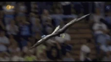 Aquila emote for Discord