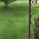 AREYOUAFLOWER emote for Discord