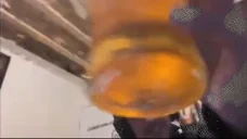 aqueeferCheers emote for Discord