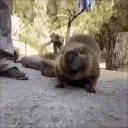 AREYOUABOBER emote for Discord