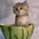 ArbuzniyKotik emote for Discord