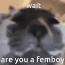 areyouafemboy emote for Discord