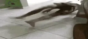 ARISE emote for Discord