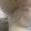 ARRIVE emote for Discord