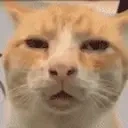 AREYOUAGAMER emote for Discord