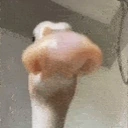 AREYOUNONBINARY emote for Discord