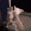 arguing emote for Discord