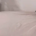 arriving emote for Discord