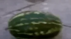 arbuz emote for Discord