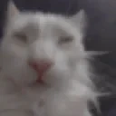 AreYouSeeingThis emote for Discord