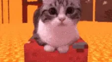 ARRIVED emote for Discord