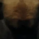 AREYOUATWIX emote for Discord