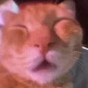 araaaaagh emote for Discord