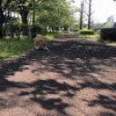 Arrive emote for Discord