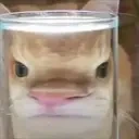 AREYOUAWEEB emote for Discord