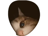 AREYOUHERE emote for Discord