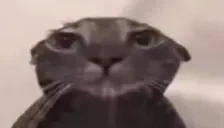 awkward emote for Discord