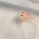 AxoArrive emote for Discord