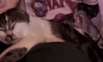 AWAKEN emote for Discord