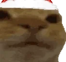 awkward emote for Discord