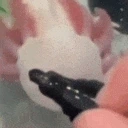 AxoCool emote for Discord