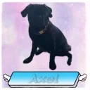 Axel emote for Discord