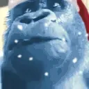 AYOO emote for Discord