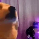 AxlVibing emote for Discord