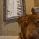 ayo emote for Discord