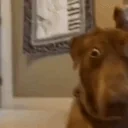 AYOO emote for Discord