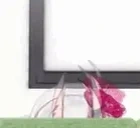 ayamePeek emote for Discord