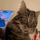 ayo emote for Discord