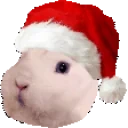 aylinaBUNSPIN emote for Discord