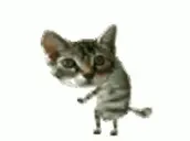 ayyy emote for Discord